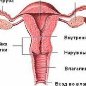 Sângerare uterină cu cheaguri