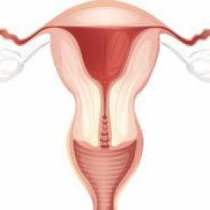 Trompelor uterine