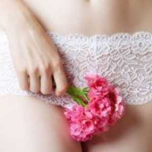 Ciclul Menstruatsionny după naștere