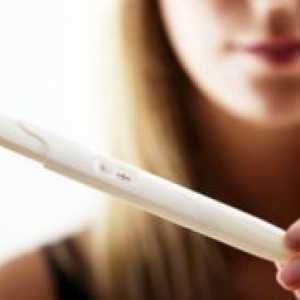 Pot ramane insarcinata dupa ovulatie?