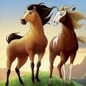 Desene animate despre cai