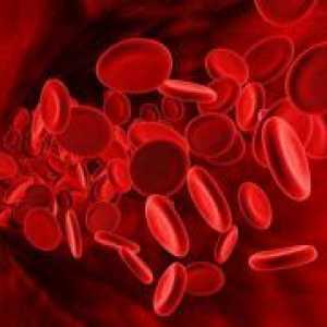 Norma de trombocite din sânge femeilor