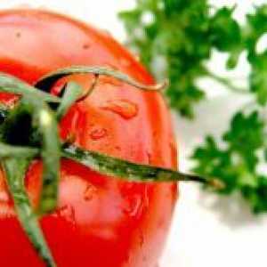 Noi soiuri de tomate de reproducere Siberian