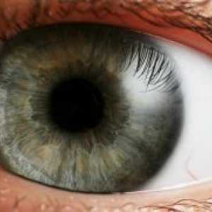 Dezlipirea de retină