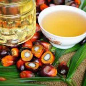 Ulei de palmier - beneficii și dăunătoare asupra sănătății