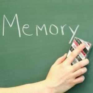 Memoria ca un proces mental