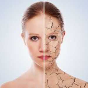 Primele semne ale îmbătrânirii pielii
