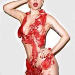 Rochie de carne Lady Gaga