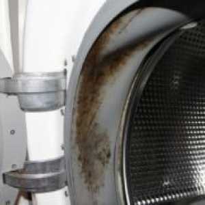 Mucegai în mașina de spălat - cum să scapi?