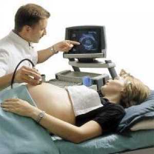 Indicatori de ultrasunete 32 săptămâni gravidă
