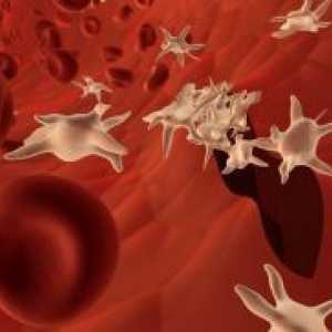 Trombocite crescute în sânge