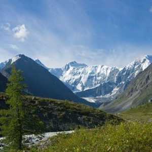 Natura Altai