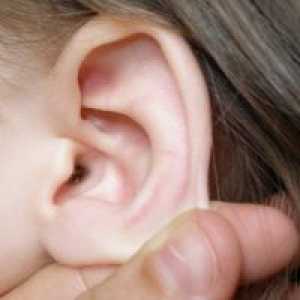 Furculițe în urechi