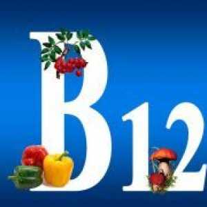 Alimentele care contin vitamina B12