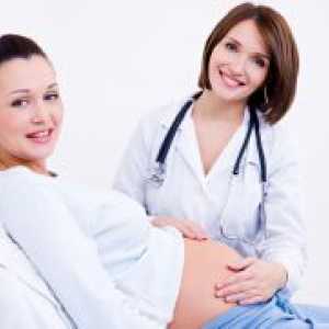 Mărimea uterului de săptămâna sarcinii