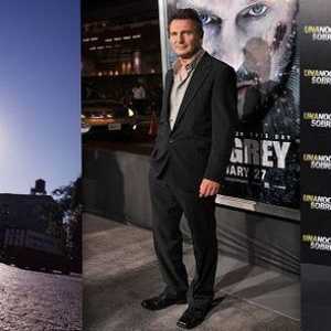 Creștere și alți parametri de Liam Neeson