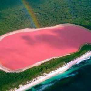 Lac roz în Australia