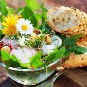 Salata de păpădia - beneficiile si dauneaza