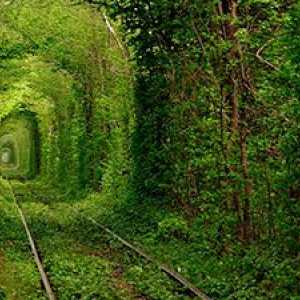 Cele mai frumoase tuneluri naturale ale lumii