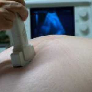 Bătaia inimii fătului în timpul sarcinii