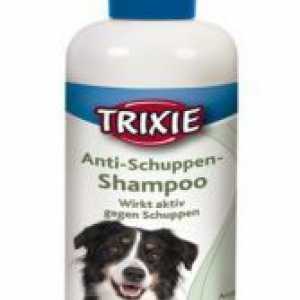 Câine șampon
