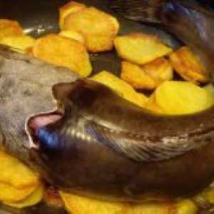 Catfish, coapte în cuptor