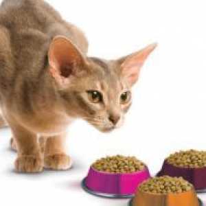Compararea mâncare de pisici