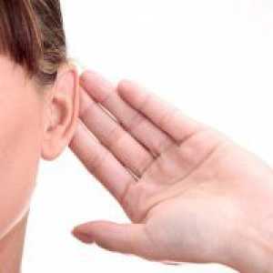 Lăstarii ureche - decât vindecarea?