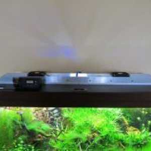 Lumina LED-uri pentru acvariu cu propriile lor mâini