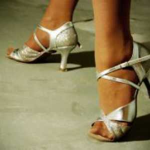 Pantofi de dans