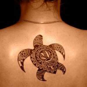 Turtle tatuaj - valoare