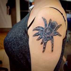 Spider tatuaj - valoare