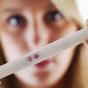 Test de sarcină - Instrucțiunea