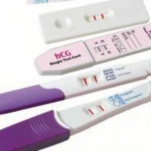 Testul de sarcină la începutul sarcinii