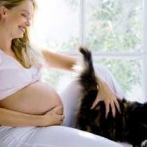 Toxoplasmoza în timpul sarcinii