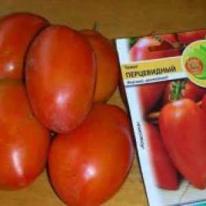 Pertsevidny tomate