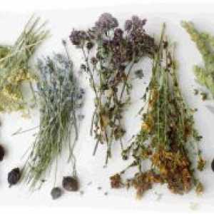 Plante aromatice, care reduc pofta de mancare