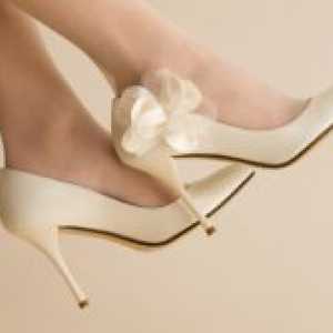 Pantofi pentru nunta