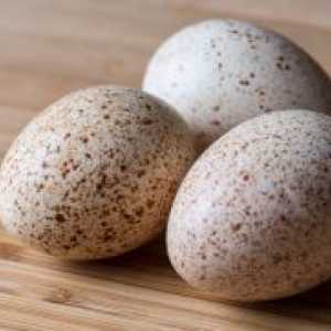 Ouă de rață - beneficii si vatamare