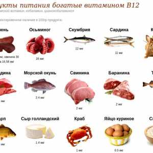 Ce alimente contin vitamina B12?
