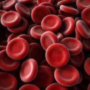 Cele mai coborâte eritrocite sanguine