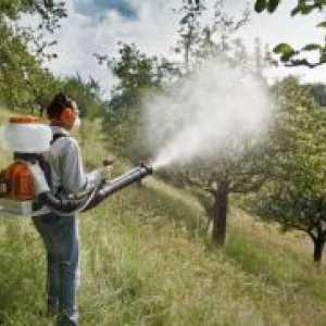 Procesare de primăvară mere împotriva dăunătorilor și bolilor
