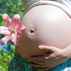 Varicela in timpul sarcinii