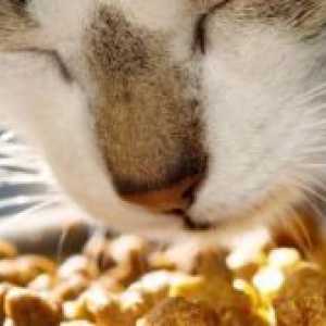 Vitamine pentru pisici