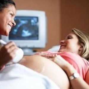 Harm cu ultrasunete în timpul sarcinii