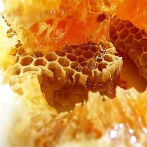 Zabrus de albine, structura, beneficii și rău, utilizarea