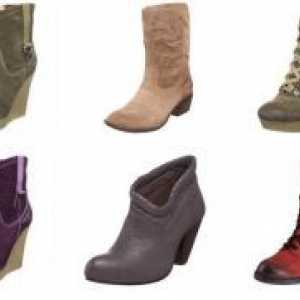 Pantofi pentru femei de toamnă 2013