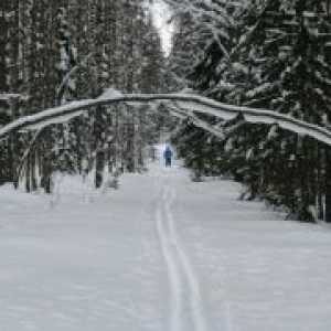 Vacanța de iarnă în Karelia