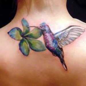 Înțeles tatuaj Hummingbird